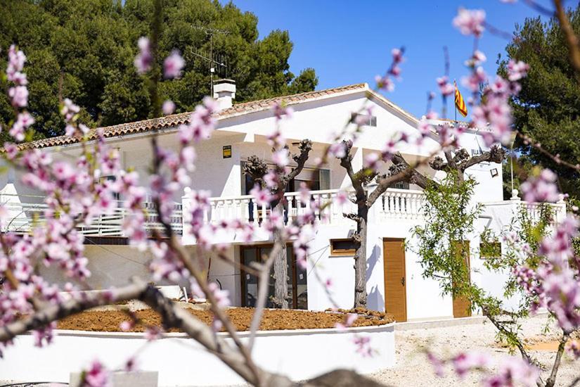 Villa Vintage Les Cases d'Alcanar Esterno foto