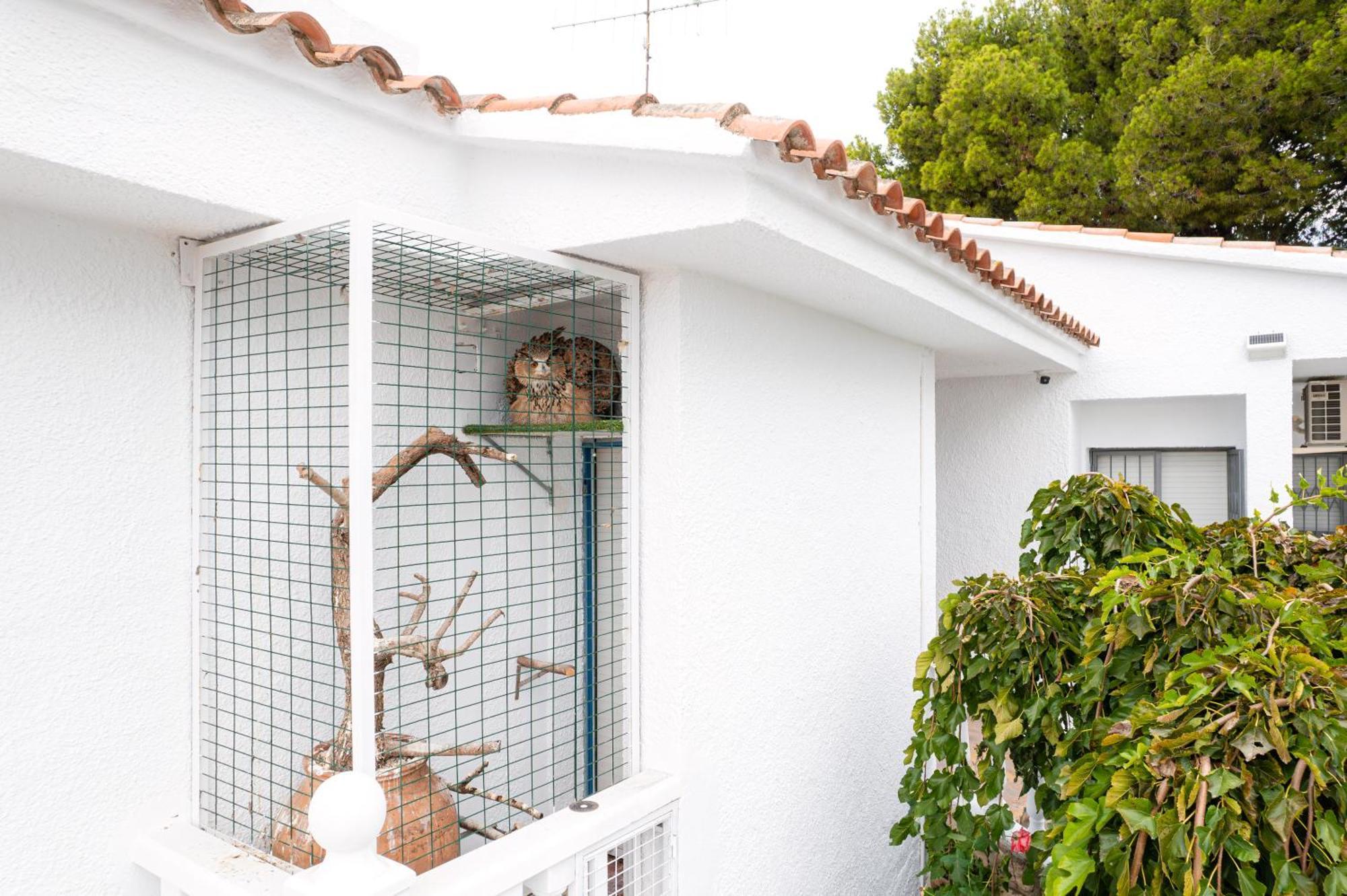 Villa Vintage Les Cases d'Alcanar Esterno foto
